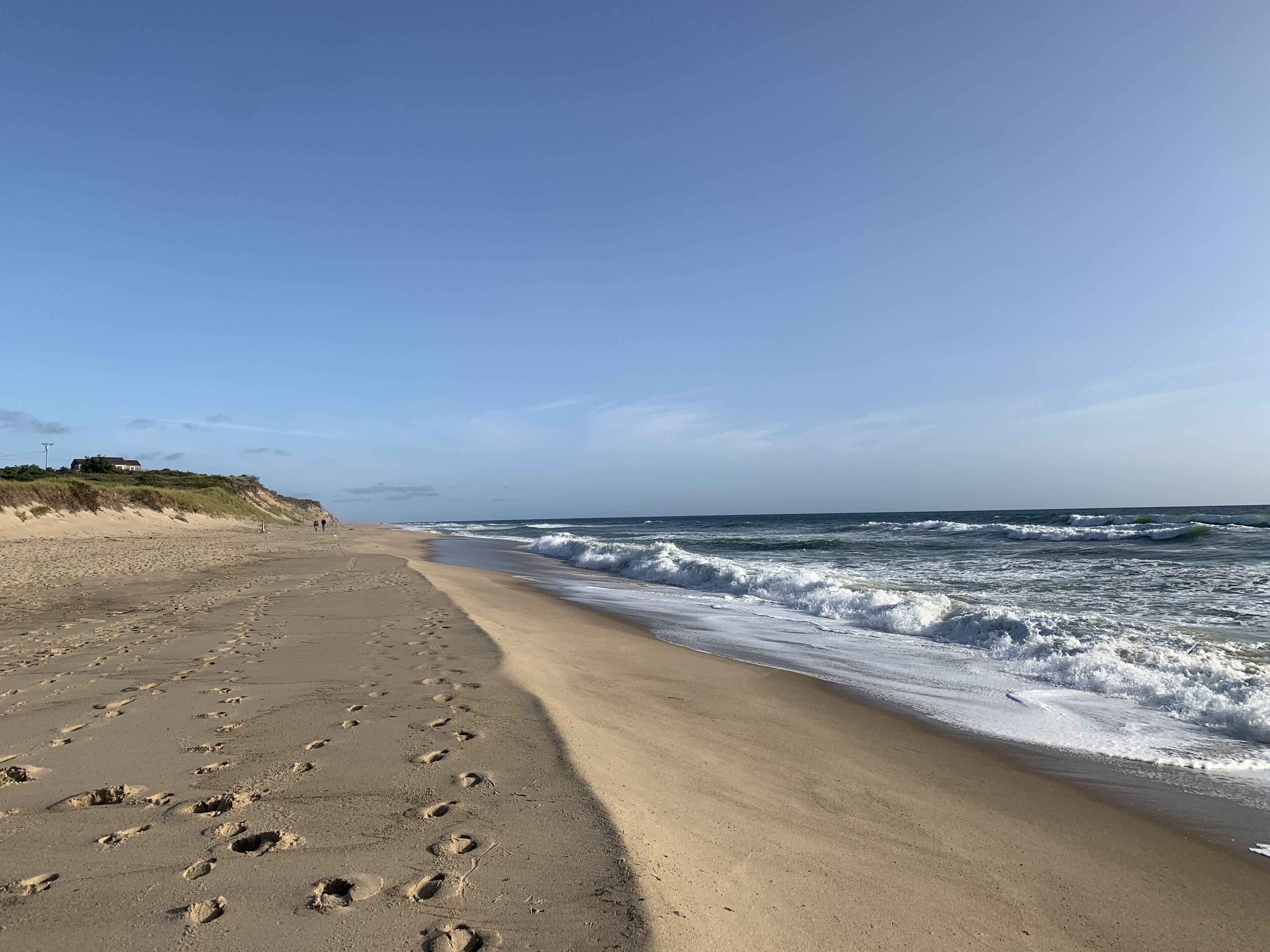 Coast Guard Beach (early morning)