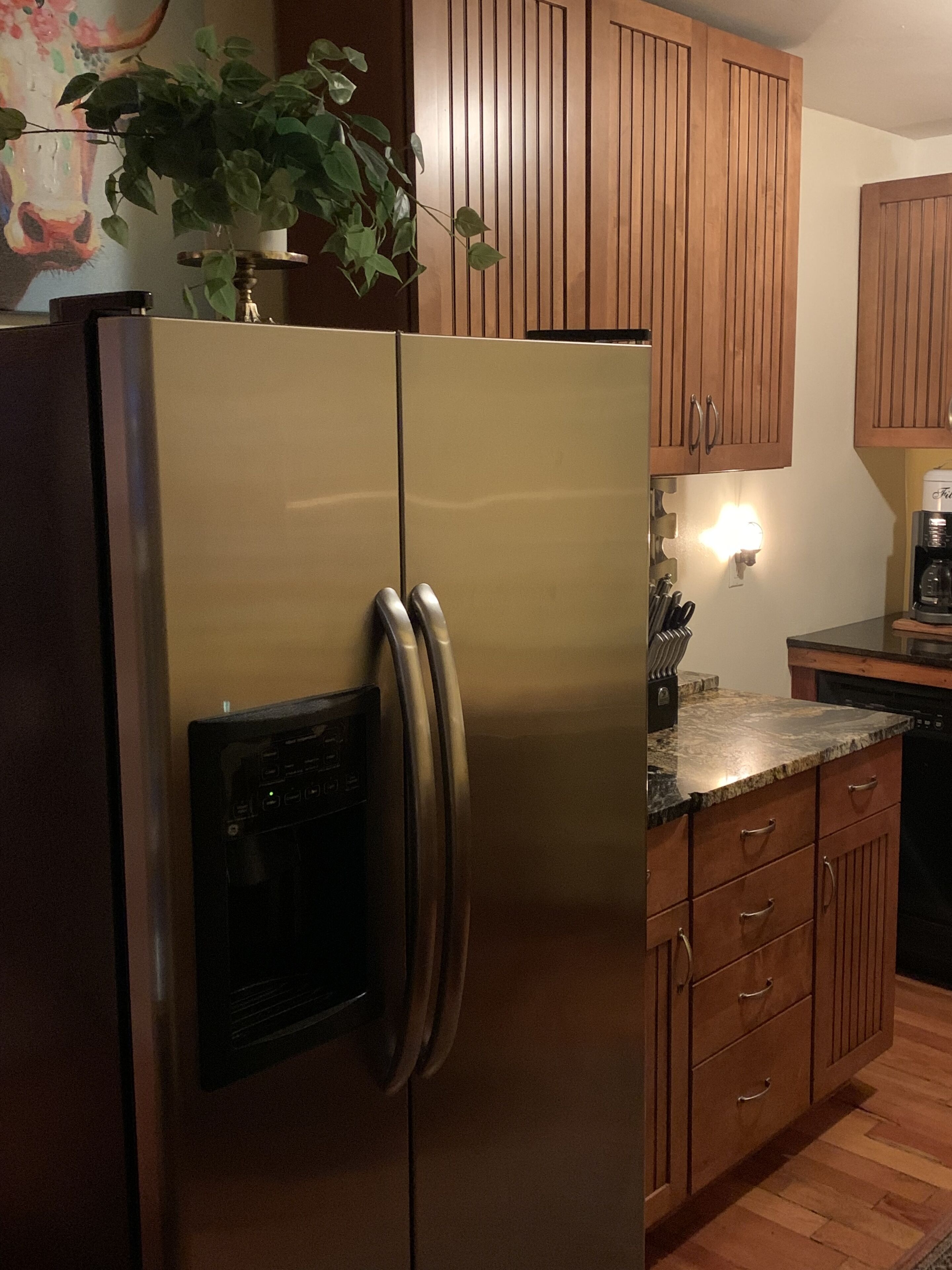 Downtown Hot Springs Cabin  - great location - VERY PRIVATE YARD & CABIN