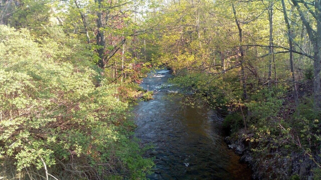 Tentrr Signature Site - A Riverwalk