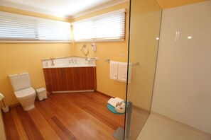 Shower, hair dryer, towels, shampoo