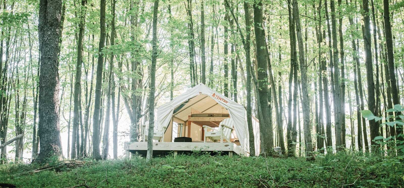 Tentrr Signature Site - Hollow Tree Camp - Coleman Outfitted Site