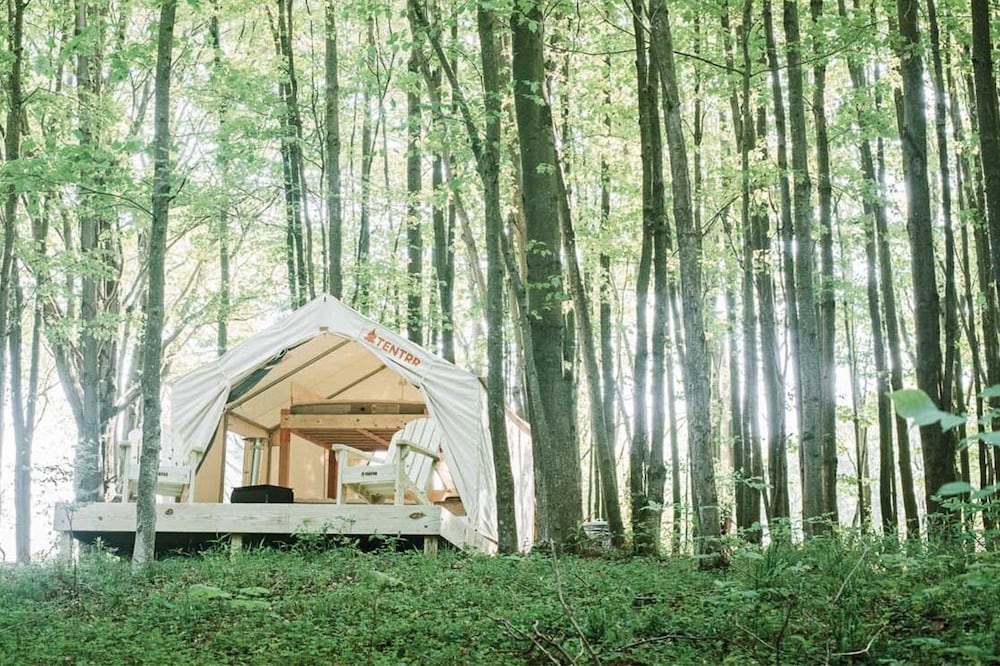 Tentrr Signature Site - Hollow Tree Camp - Coleman Outfitted Site