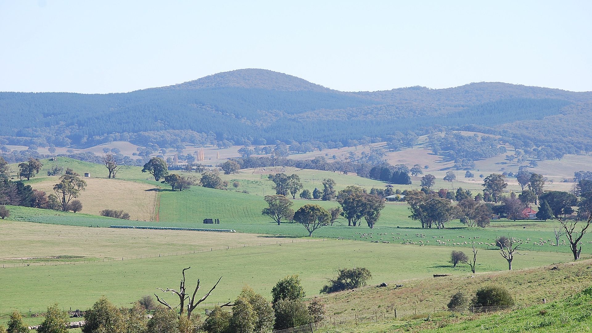 The Quarters - A real farm experience