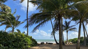 A sandy beach with palm trees and a view of the ocean.