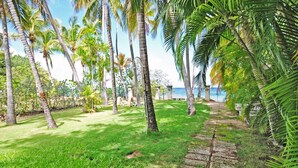 A tropical garden with palm trees, a stone pathway, and a view of the sea. - Charming West Coast Cottage Near Beach (The Garden)