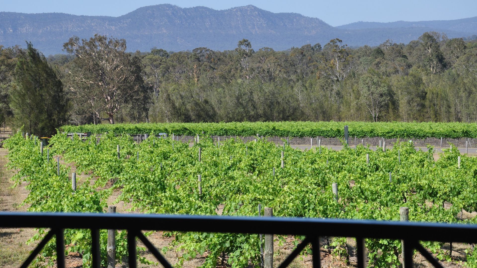 Ghost Riders Lodge at Adam's Leap Wines — image 9