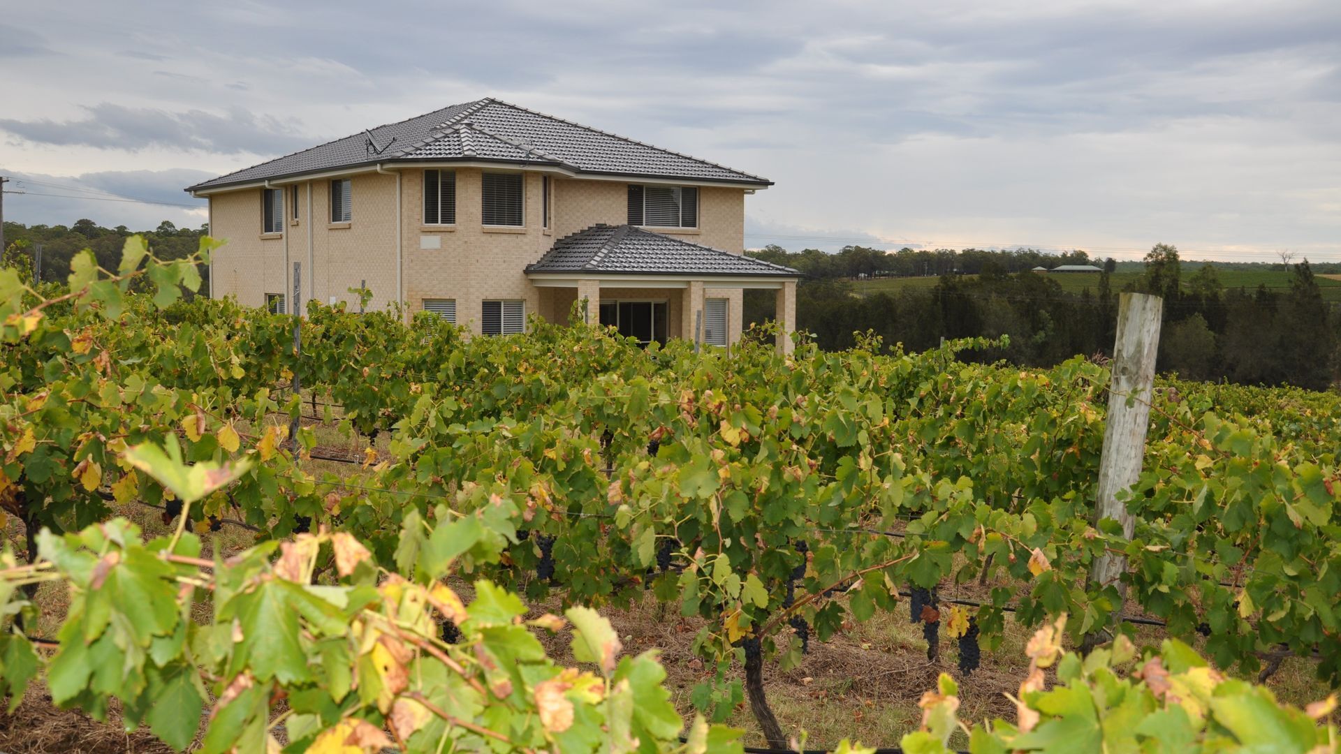 Ghost Riders Lodge at Adam's Leap Wines — image 10