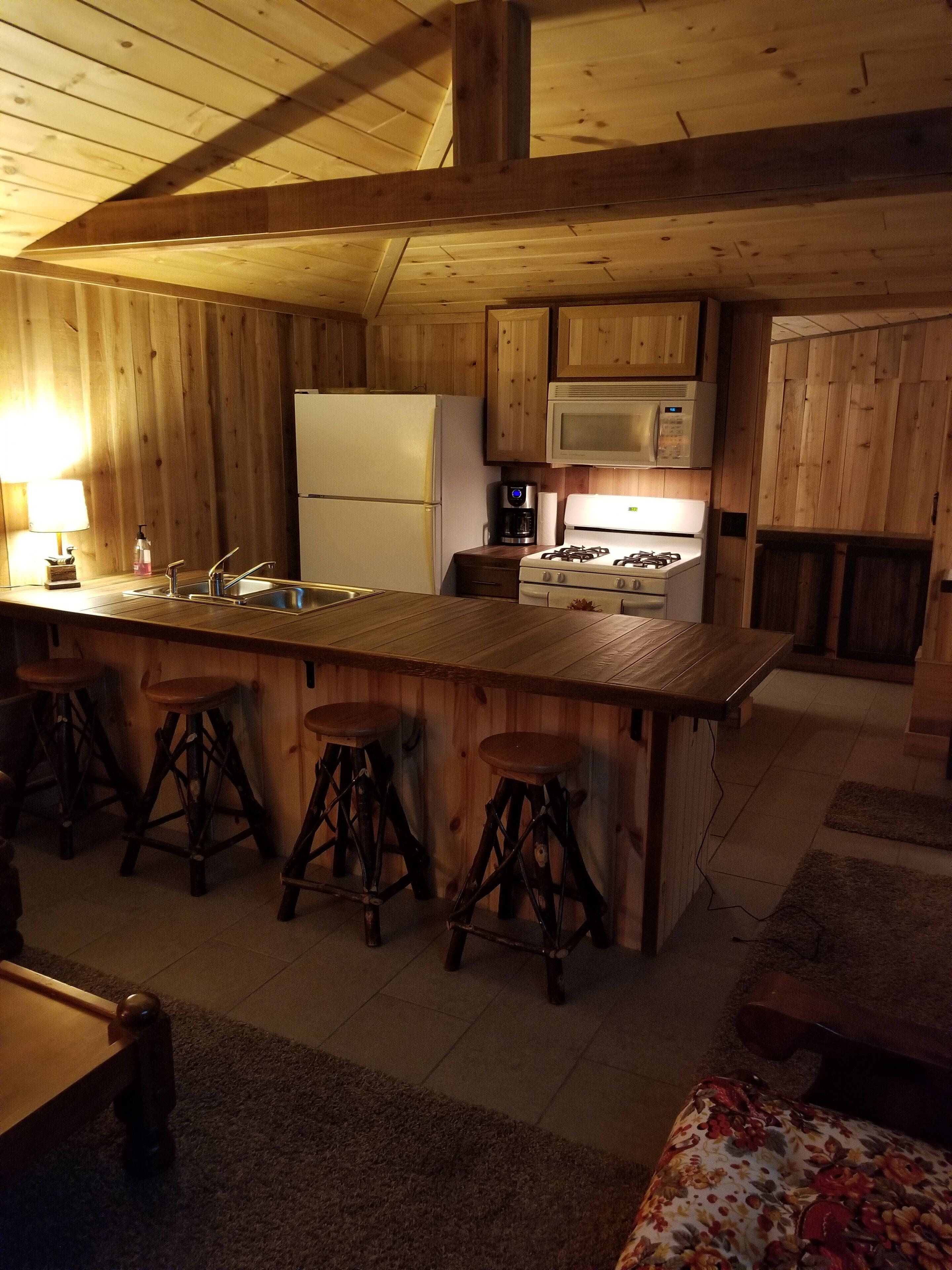 Grand réfrigérateur, micro-ondes, four, plaque de cuisson