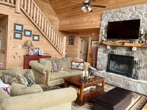 TV, fireplace, books