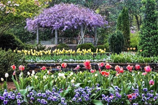 Sarah P. Duke Gardens is a must see (15 mins 6.4 miles)