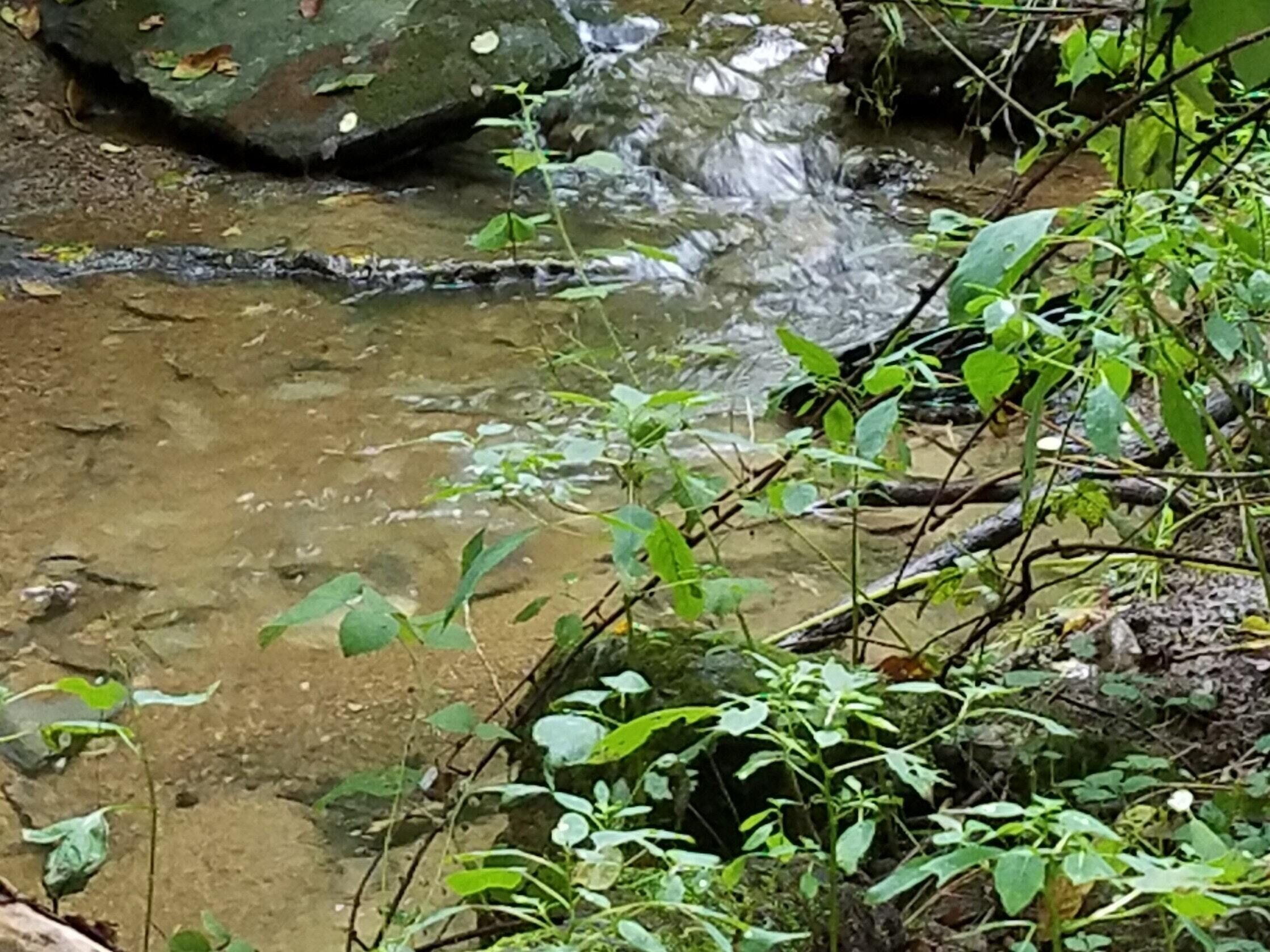 Tentrr Signature Site - Peaceful by Pigeon Creek