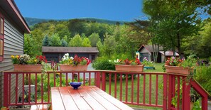 Property grounds - Charming, Roomy, Art-filled House Surrounded by Mountain Views/Natural Beauty (West Kill)
