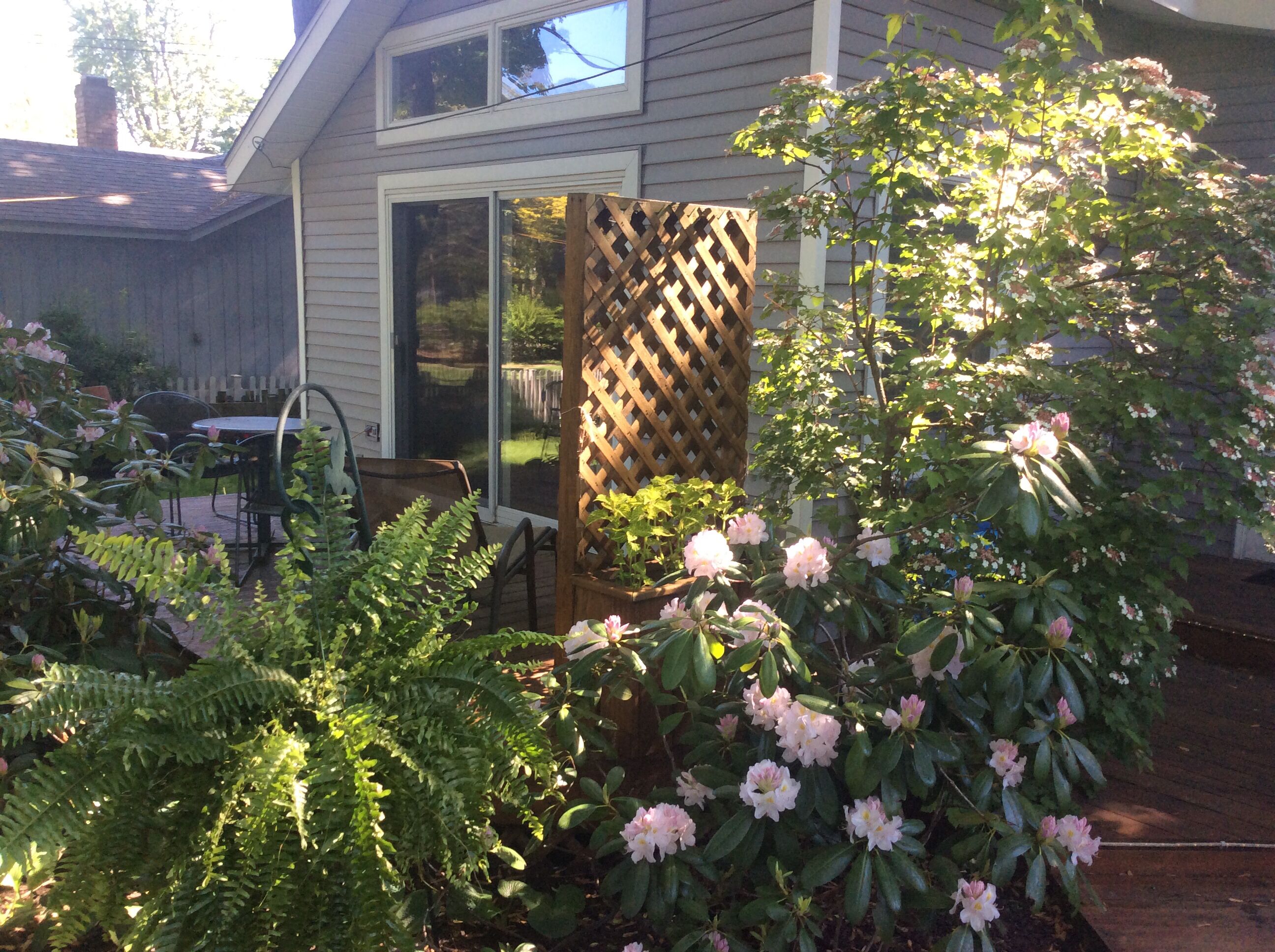 10 Best PetFriendly Rentals In Saugatuck, Michigan Updated 2024