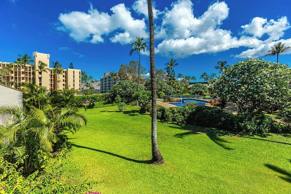 A well-maintained lawn with palm trees, a swimming pool, and a building with multiple floors in the background.