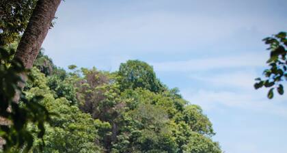 Un morceau privé de luxe de 3 chambres à coucher au coeur de Manuel Antonio