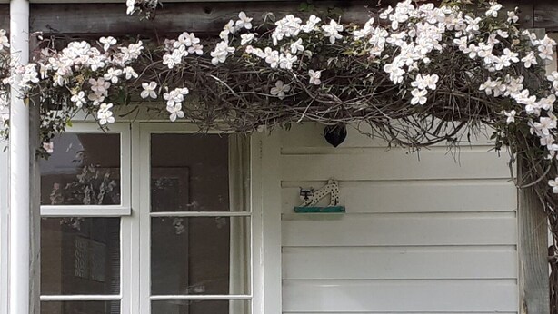 En veranda med två trästolar och ett bord, omgiven av blommande växter och en vit byggnad med ett fönster.