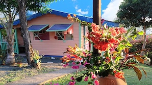 A house with a blue roof, a solar panel, and a potted plant with pink flowers. - Cottage with sea view (Gros Islet)