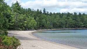 Una playa arenosa con un bosque denso a un lado y agua tranquila al otro.