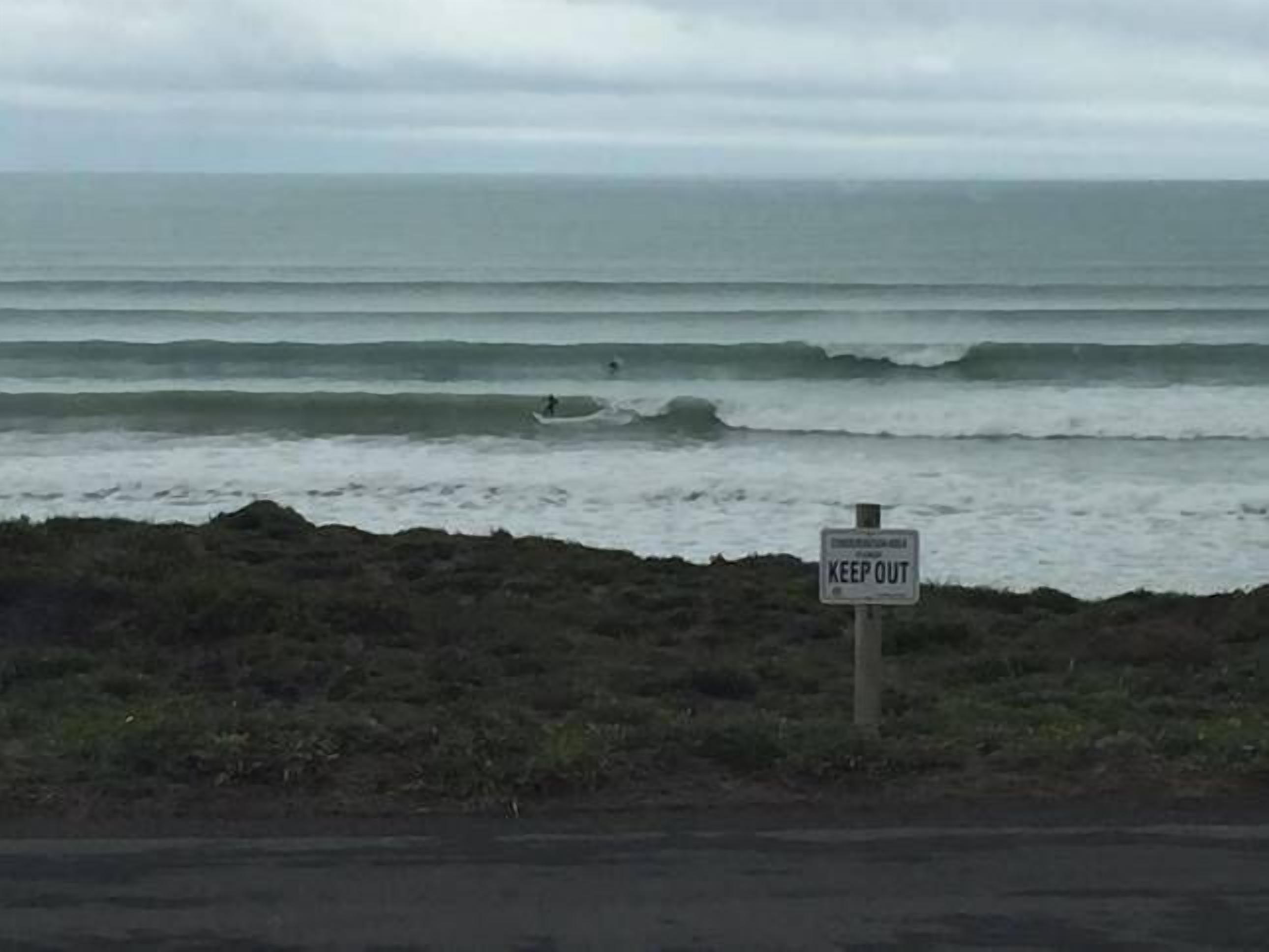 90 Newell Ave Middleton *dog friendly (outside) Instagram #middletonescape