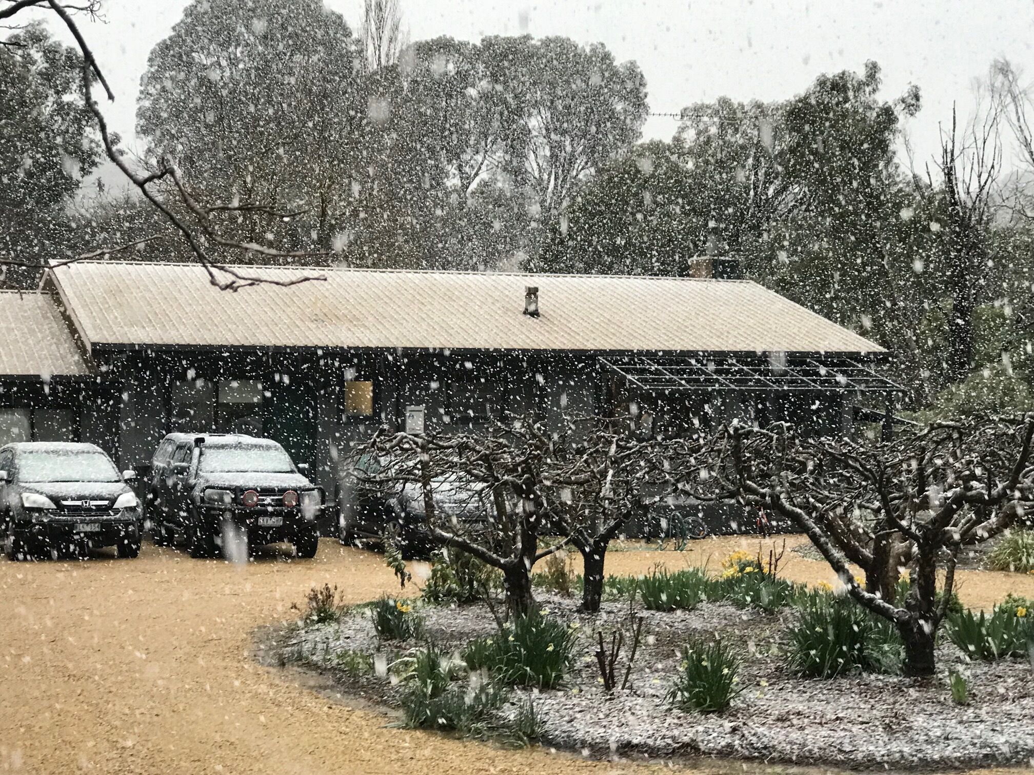 A building with a metal roof, parked cars, and snow-covered ground.