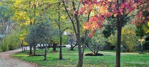 Property grounds - Mountain River House - River Front, 15min to Buller National Park. (Merrijig)