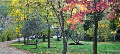 Mountain River House - River Front, 15min to Buller National Park.