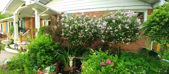 MERLOT SUNSET-Best BnB value around-BEST BREAKFAST BUFFET included