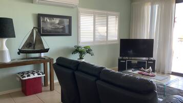 Smart TV, DVD player, books, video library