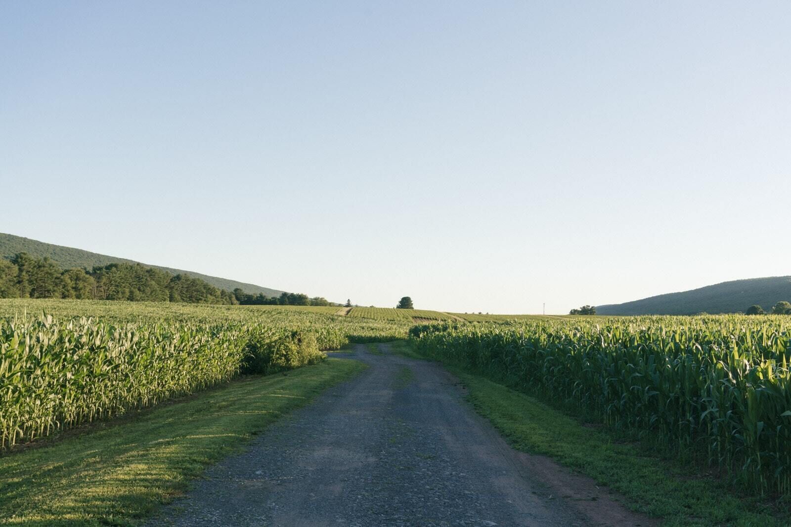 Tentrr Signature Site - GoldMine Hideaway