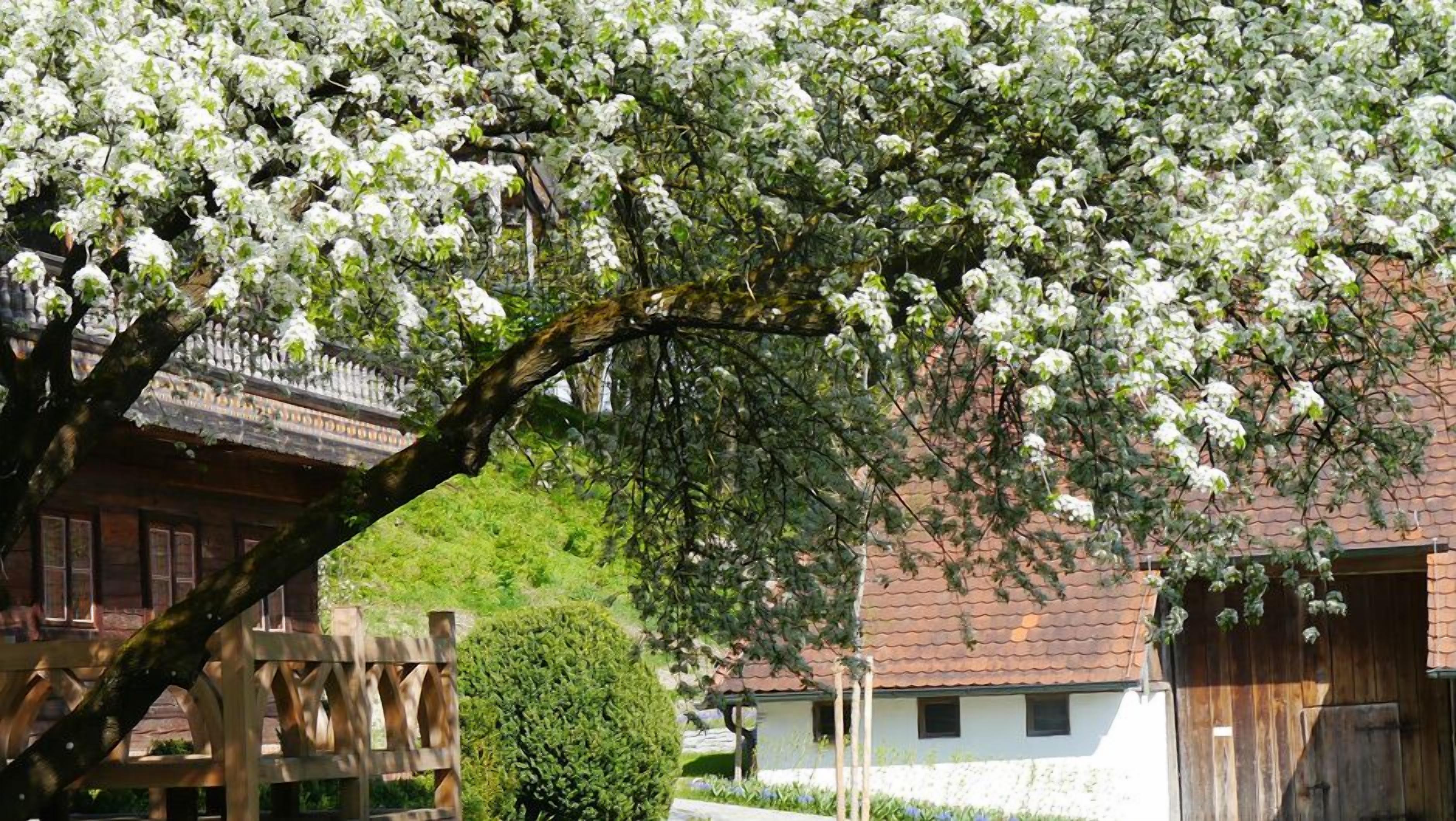 Ein traditionelles Gebäude mit einem geneigten Dach und einem Holzzaun davor.