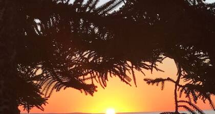 Footprints in the Sand - Central Busselton