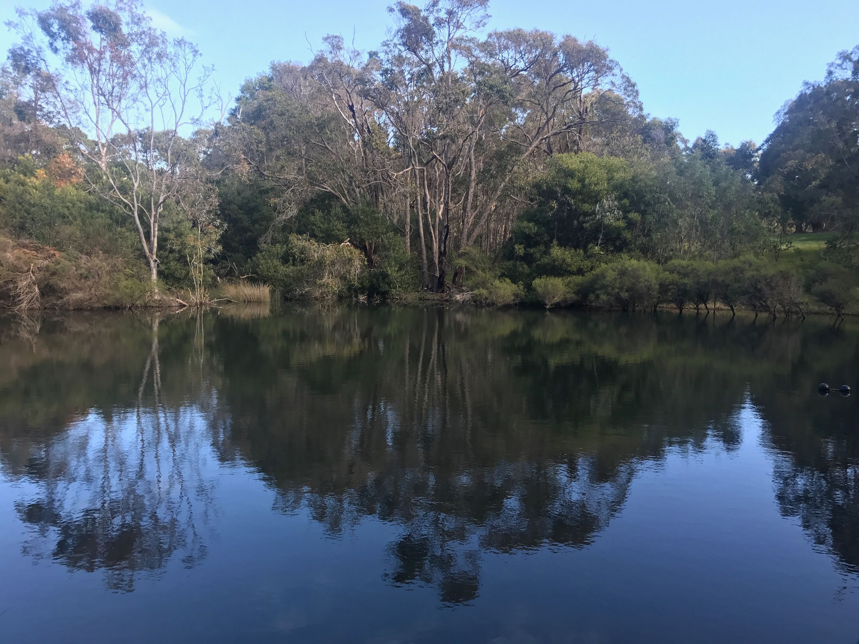 Picturesque Accommodation in Yallingup — image 5