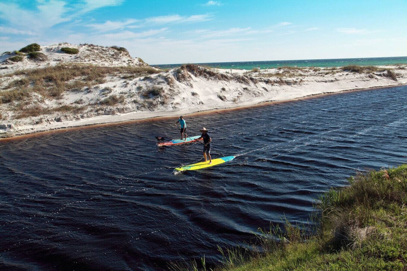 A beach with two paddleboarders on the water, a sandy shore, and dunes in the background.