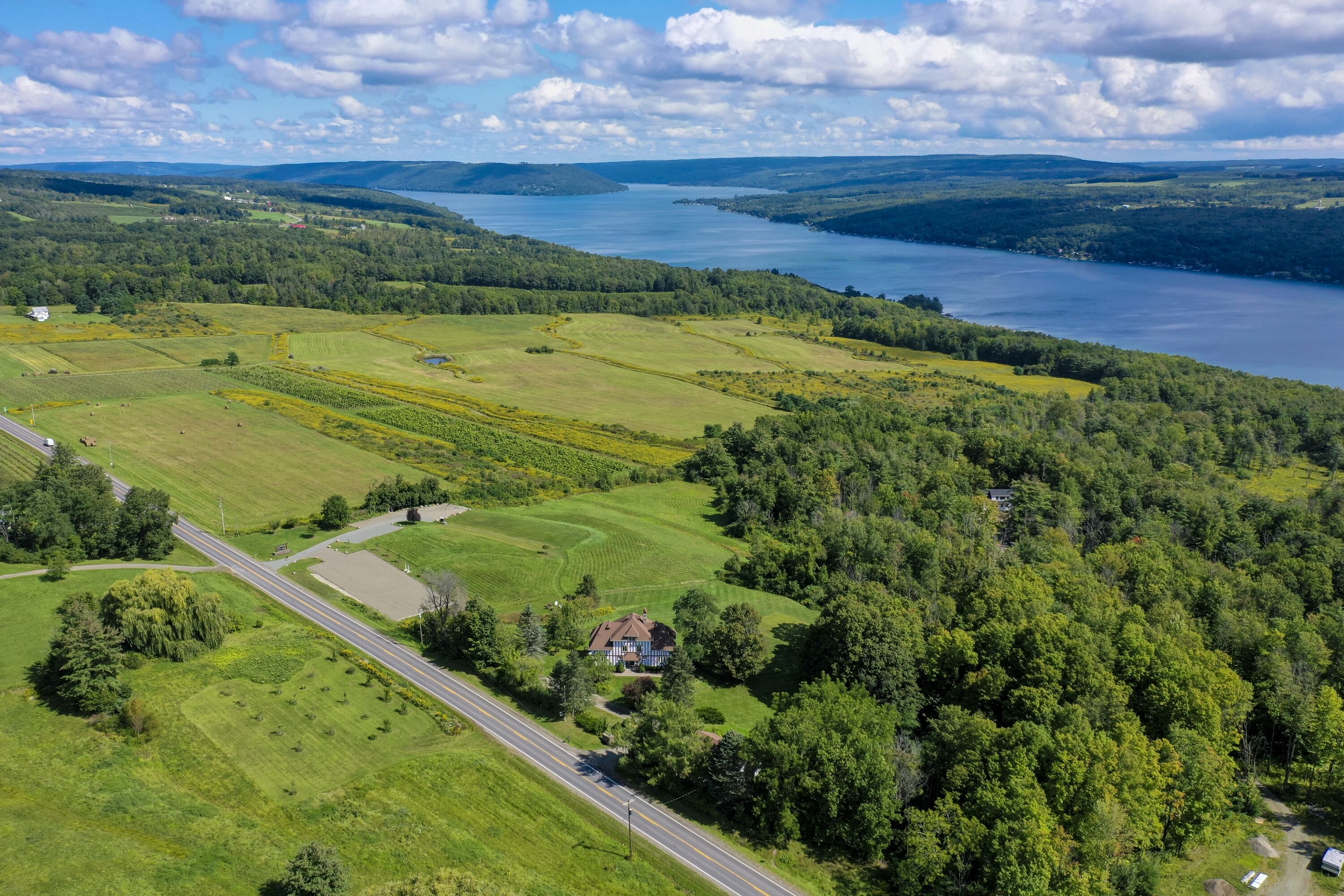 Rent an entire estate in the heart of wine country!  Best view around!