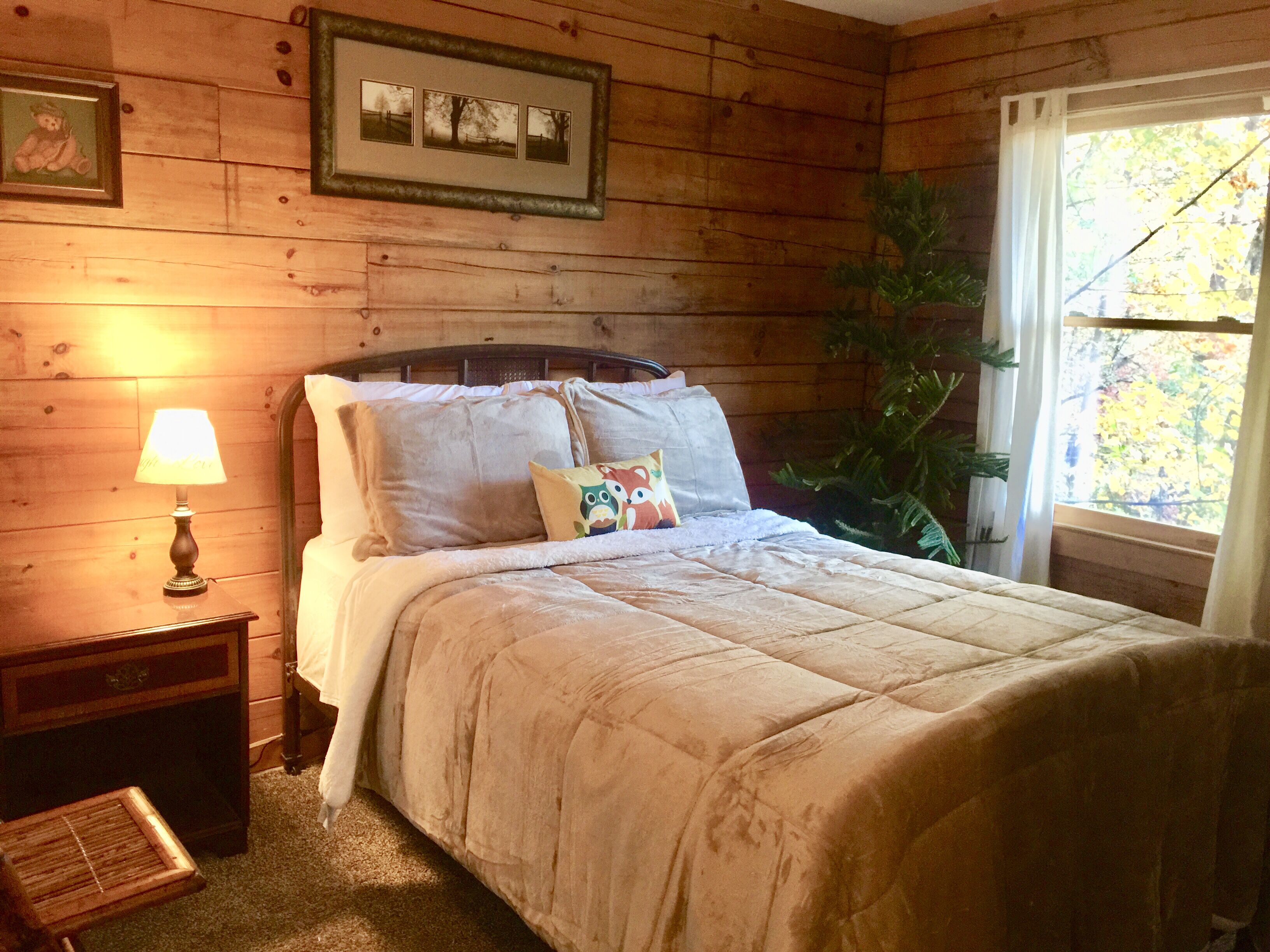 Cabin with Mountain views, near wineries and tubing, EV charger