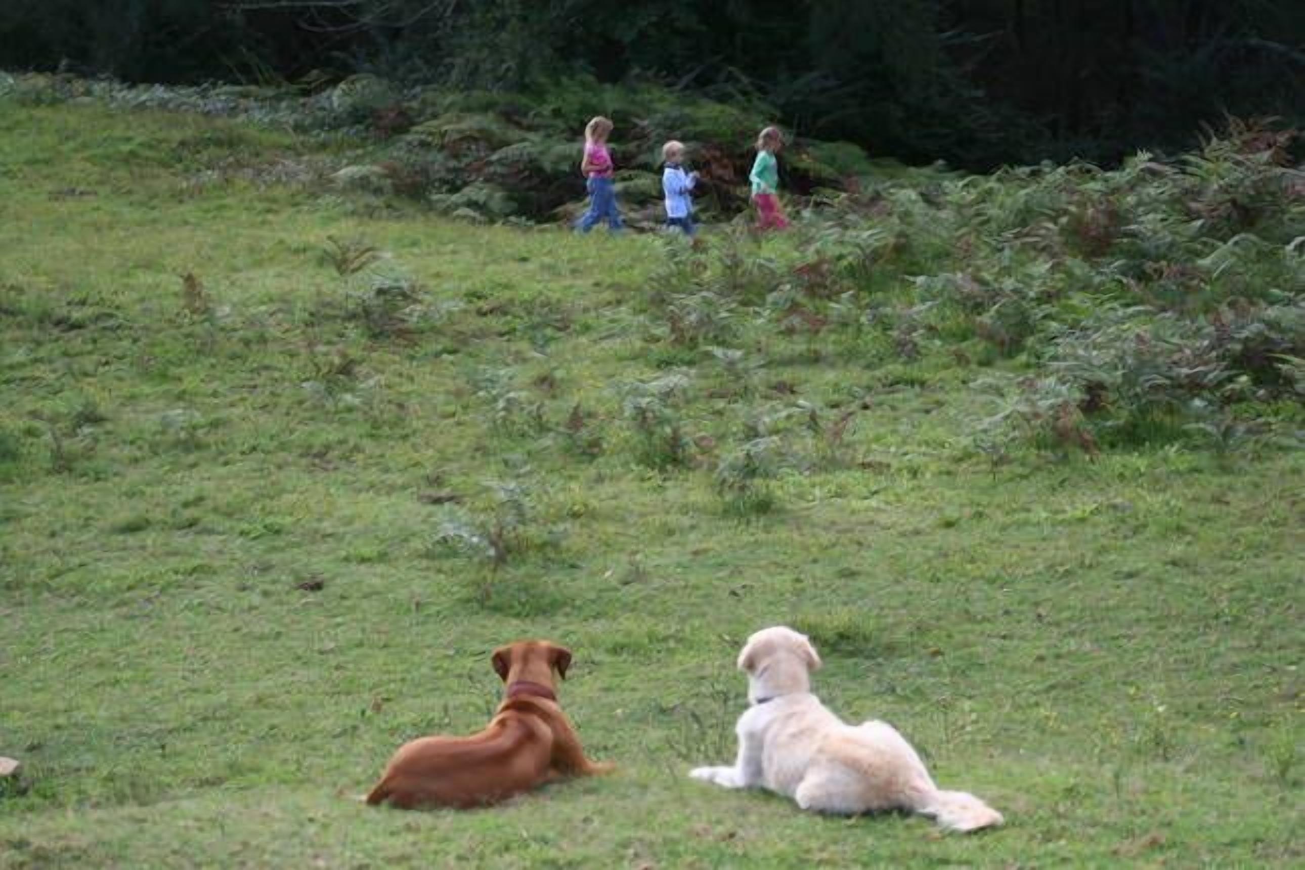 The Farm @ Hunter Escape — image 29