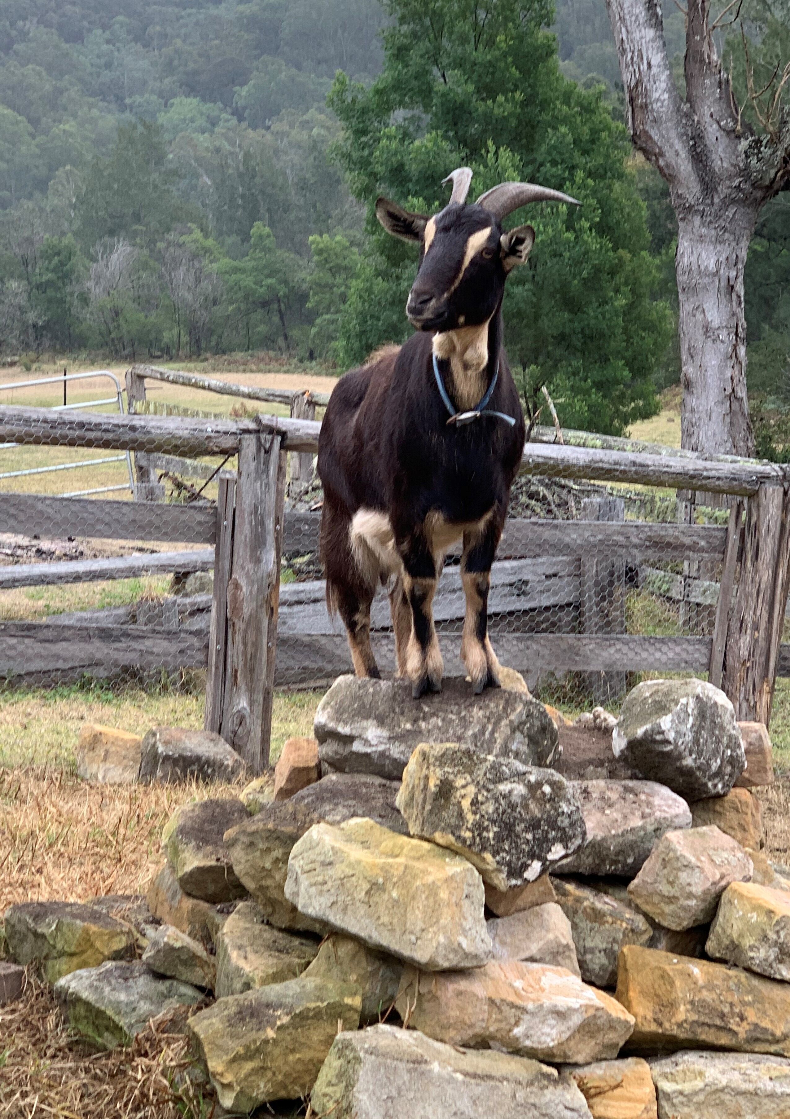 The Farm @ Hunter Escape — image 25