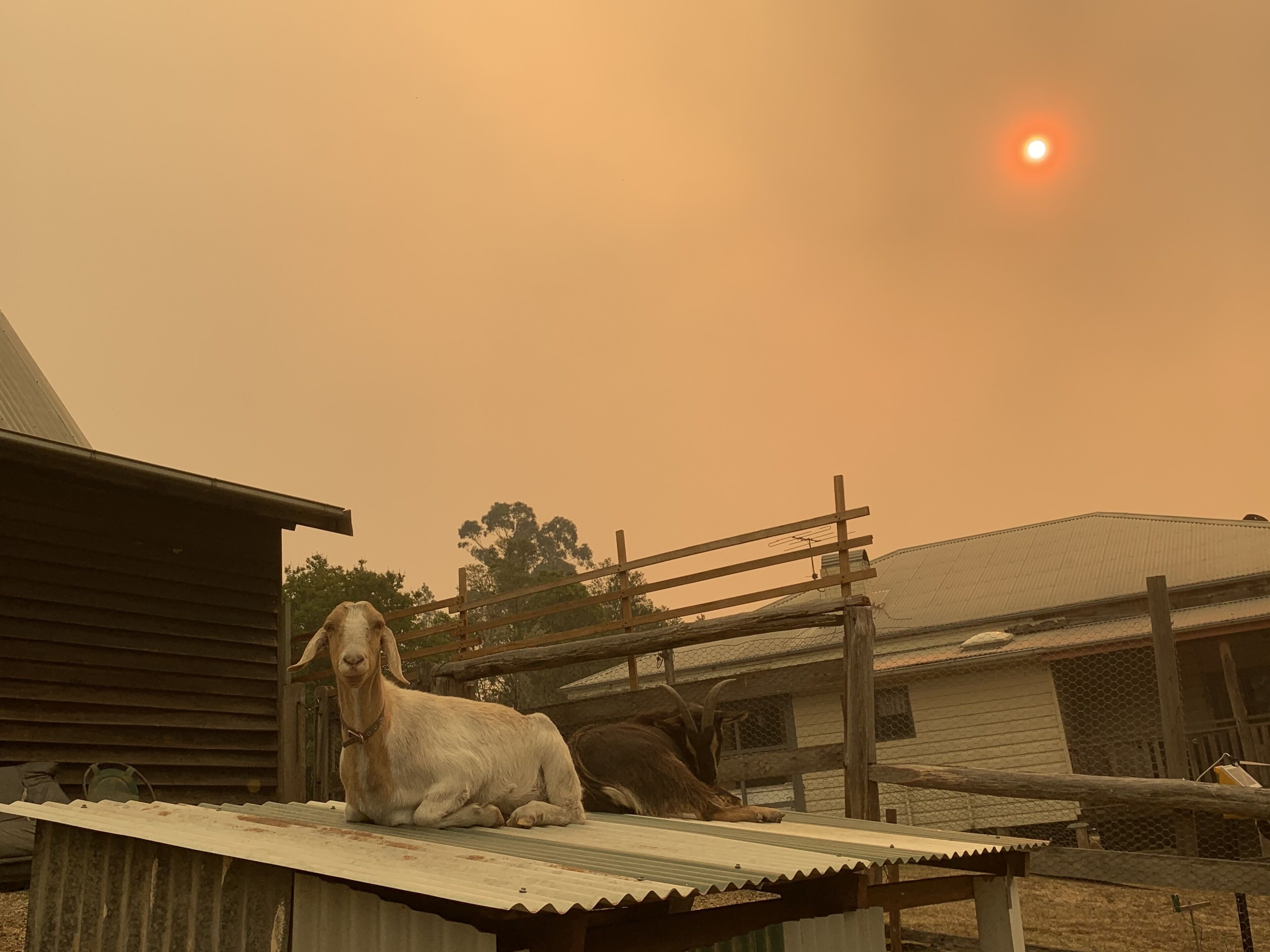 The Farm @ Hunter Escape — image 6