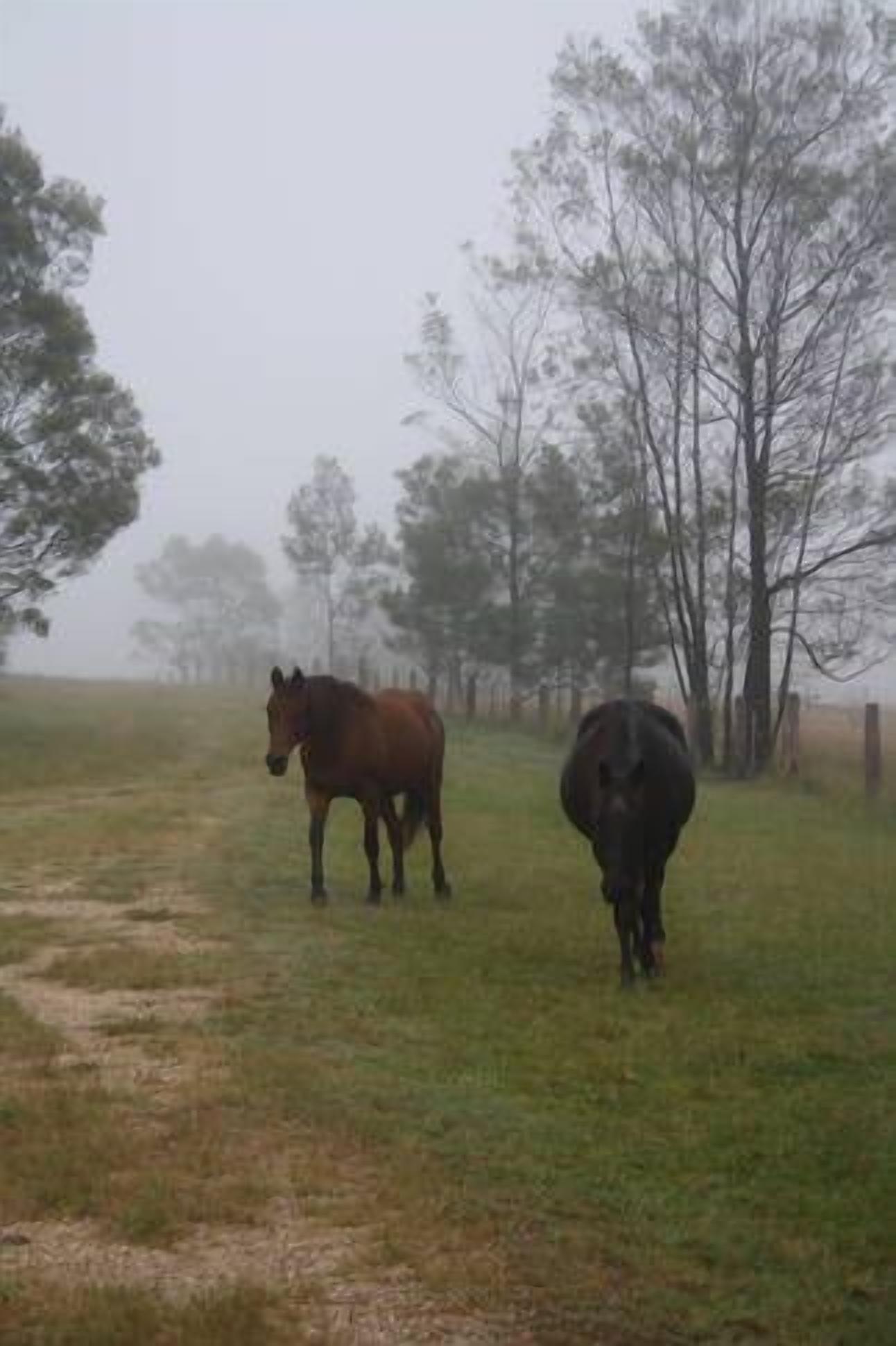 The Farm @ Hunter Escape — image 23