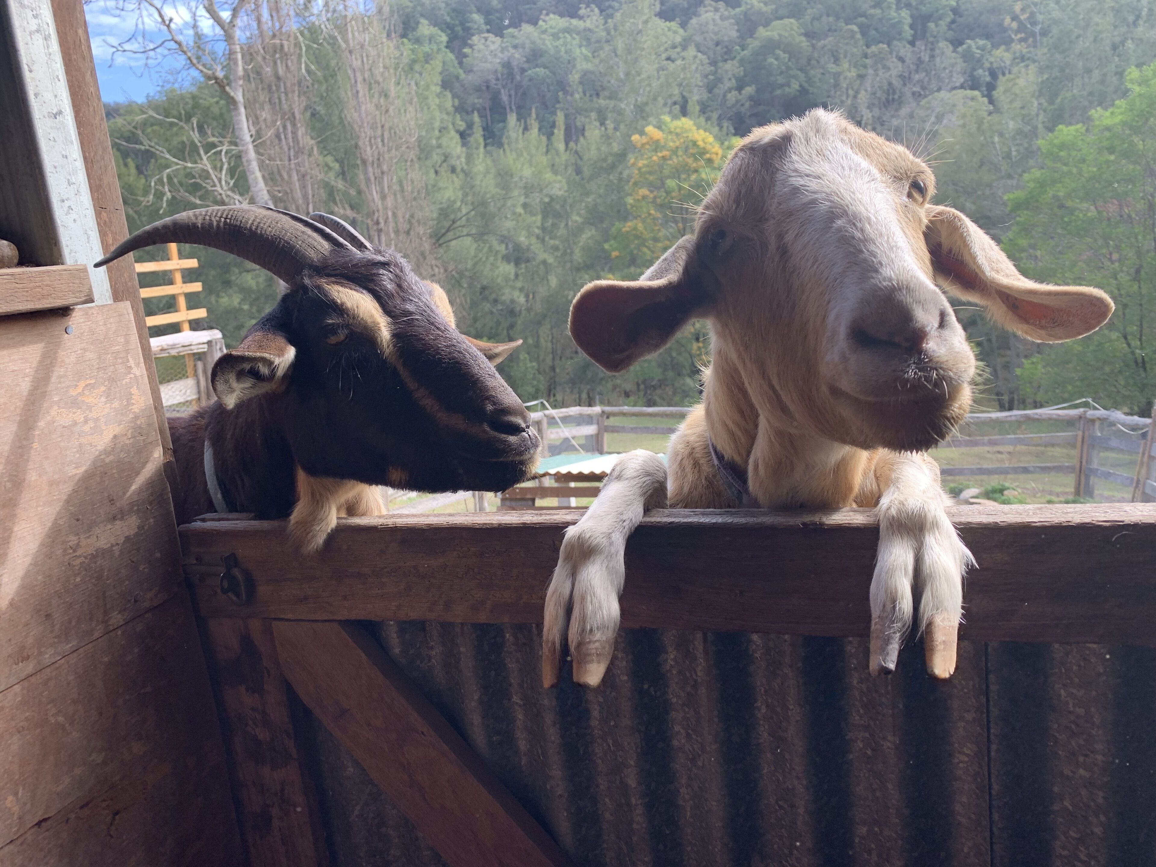 The Farm @ Hunter Escape — image 7