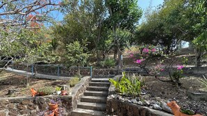 Ein Garten mit Stufen, die zu einer Steinmauer führen, umgeben von verschiedenen Blumentöpfen und einer kleinen Statue.