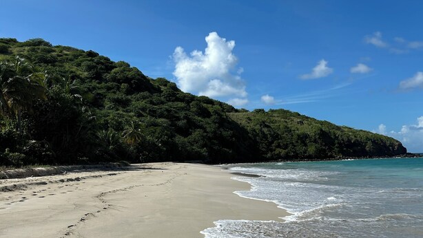 Ein Strand mit Sandküste, Wellen und einem bewaldeten Hügel.