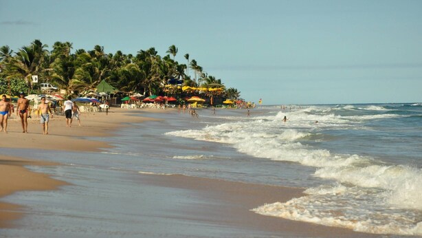 A beach with palm trees, umbrellas, and people.