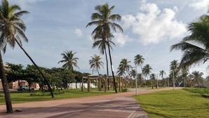 A wooden boardwalk with palm trees and a covered structure.