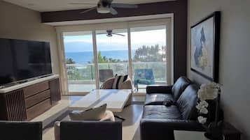 Smart TV, DVD player