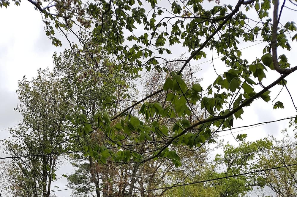 Lake Wallenpaupack Airbnb & Cheap Cabin Rentals from 126 AirCabins