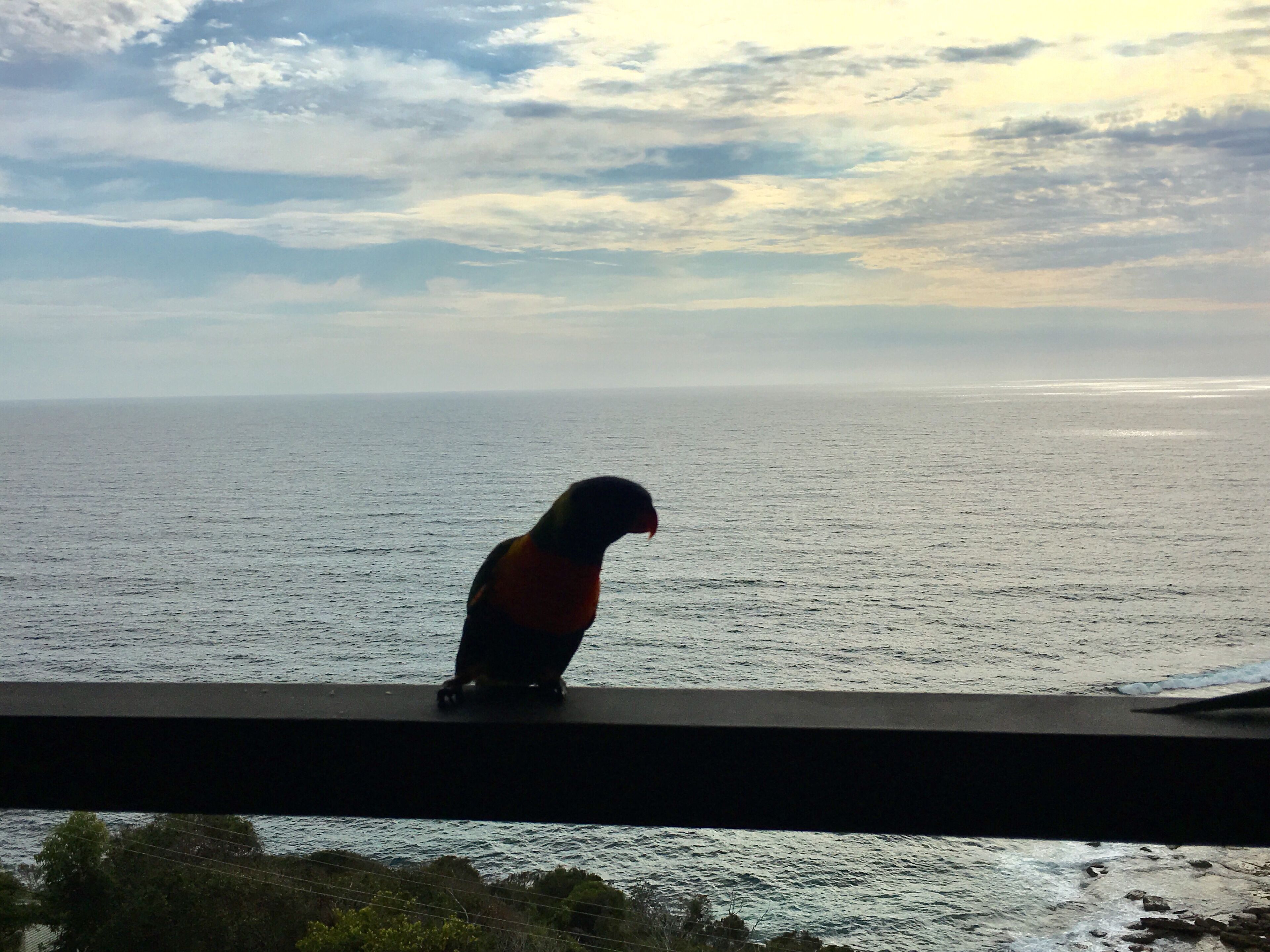 Rimrock Retreat - a place to relax — image 3