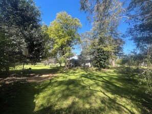 A grassy area with trees and a building in the background. - The Grove Gunbower.. (Gunbower)