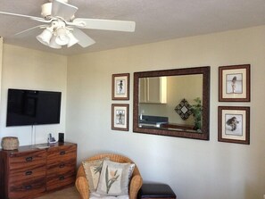 TV, video games, DVD player, books