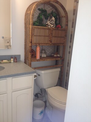 Regadera, secadora de cabello, toallas, papel de baño 